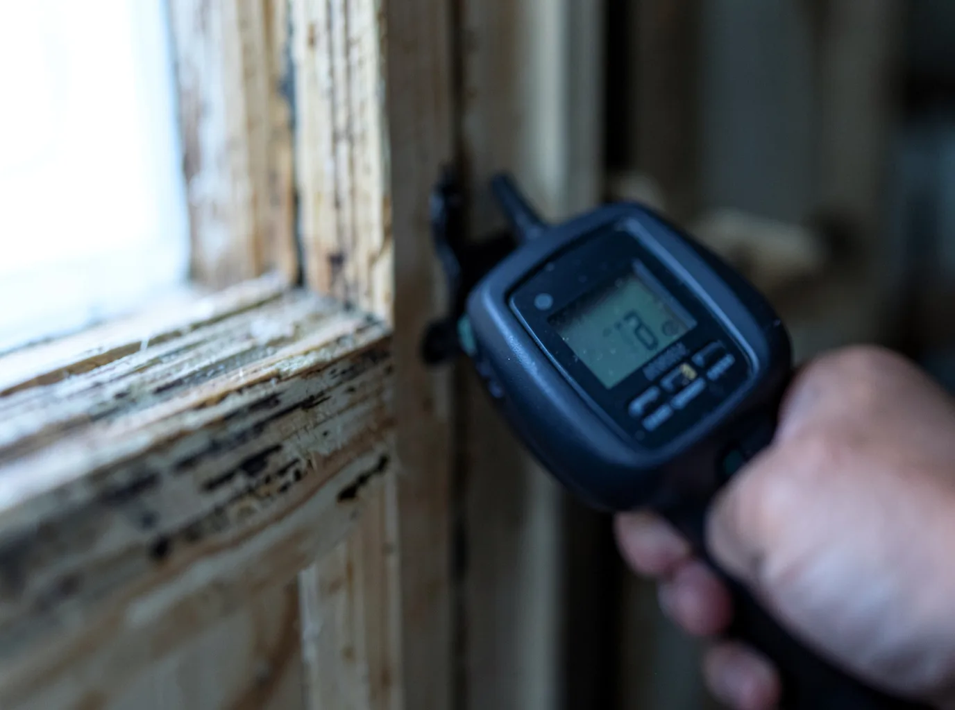 Moisture Inspection And Documentation in Orting, WA